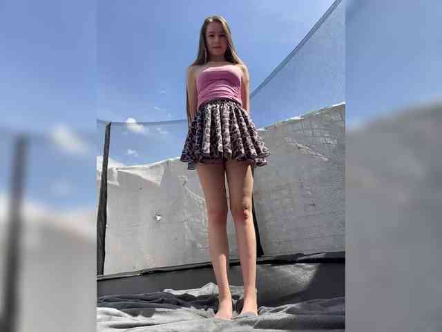 Модель: -_-_--------