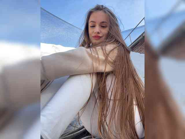 Модель: -_-_--------