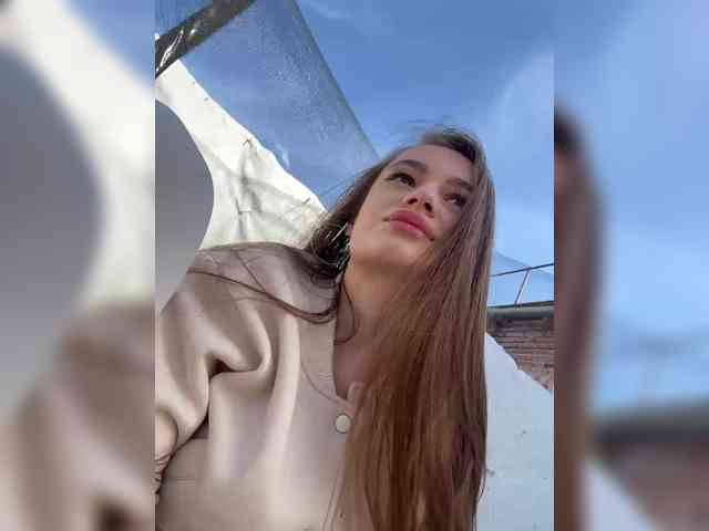 Модель: -_-_--------