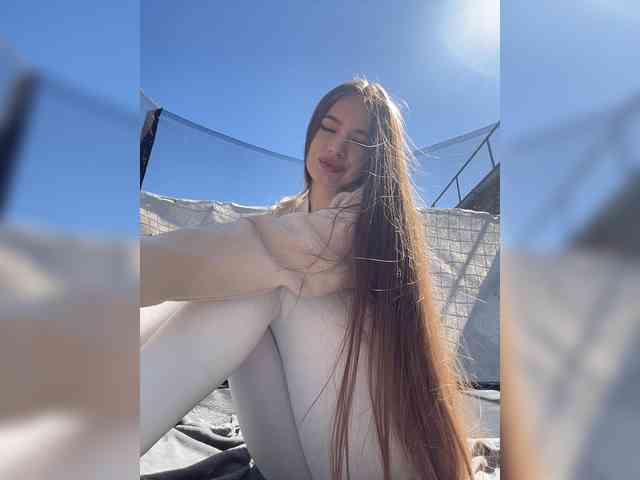 Модель: -_-_--------