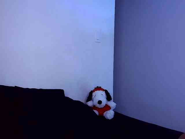 mishellcollins webcam