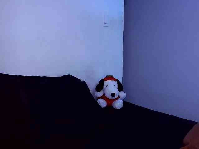 mishellcollins webcam