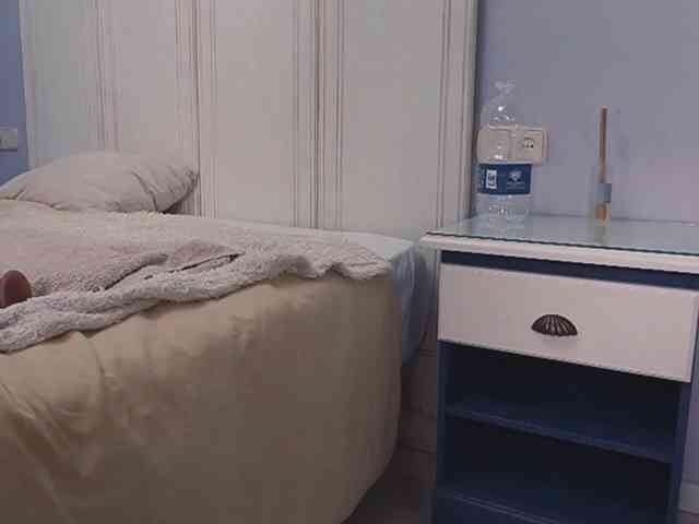 new1dee webcam