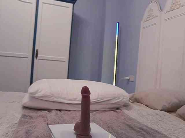 new1dee webcam