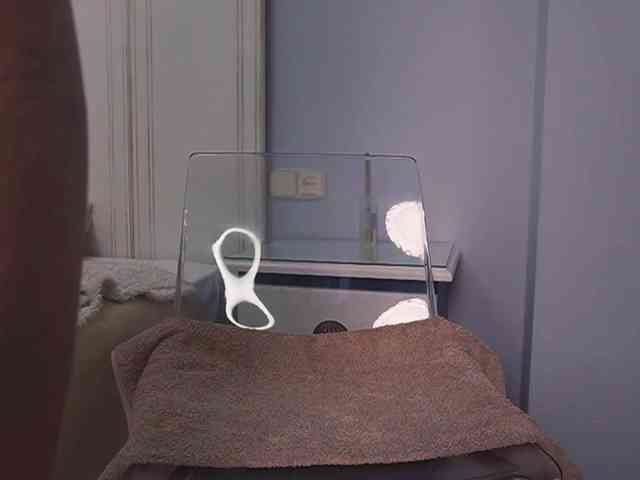 new1dee webcam