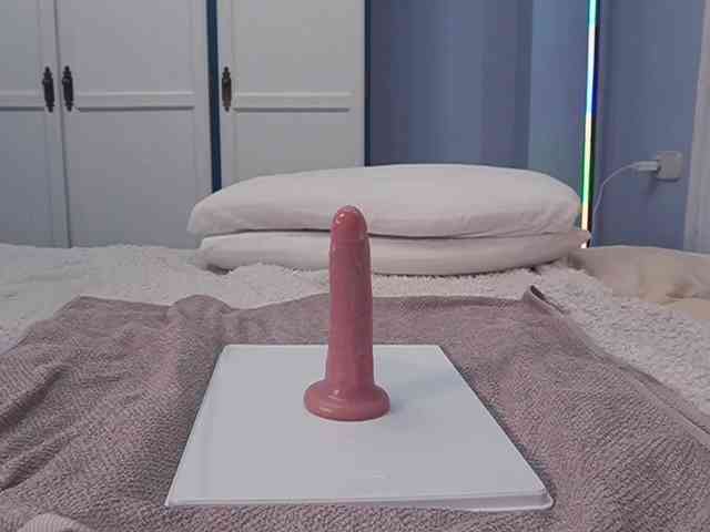 new1dee webcam