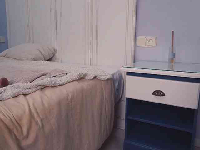 new1dee webcam