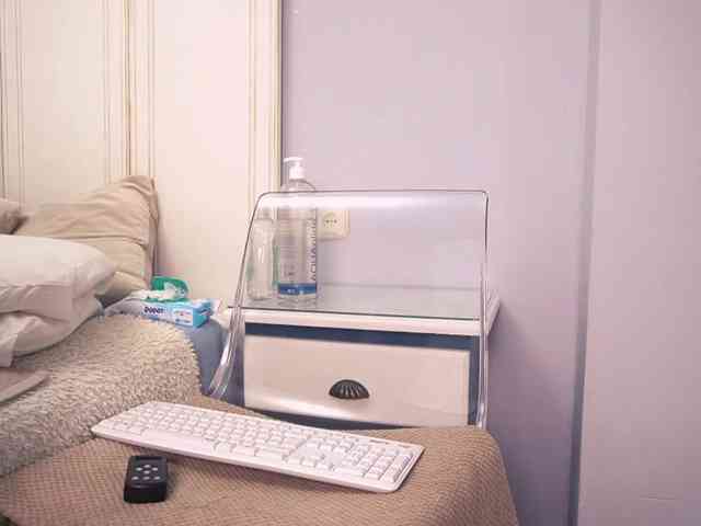 new1dee webcam