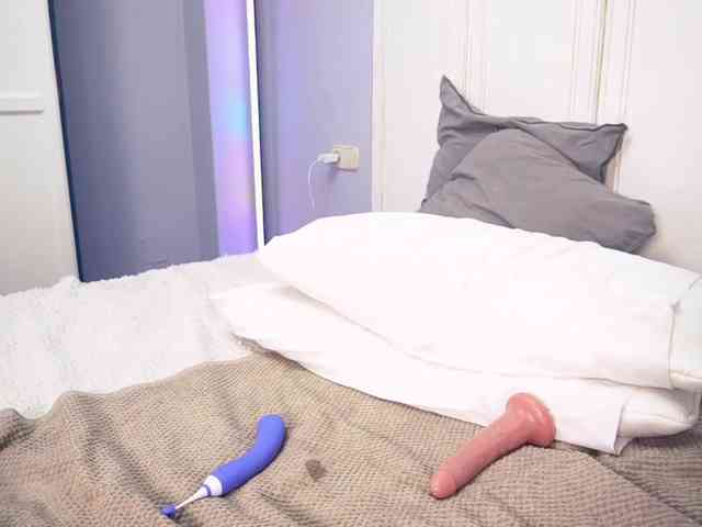 new1dee webcam