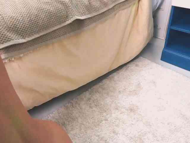 new1dee webcam