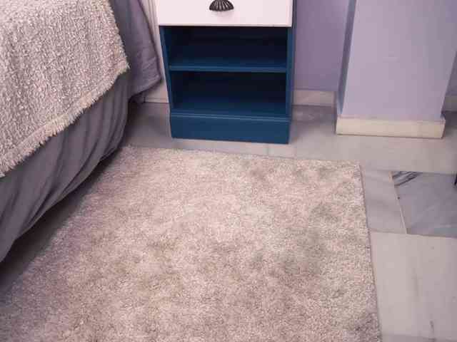 new1dee webcam