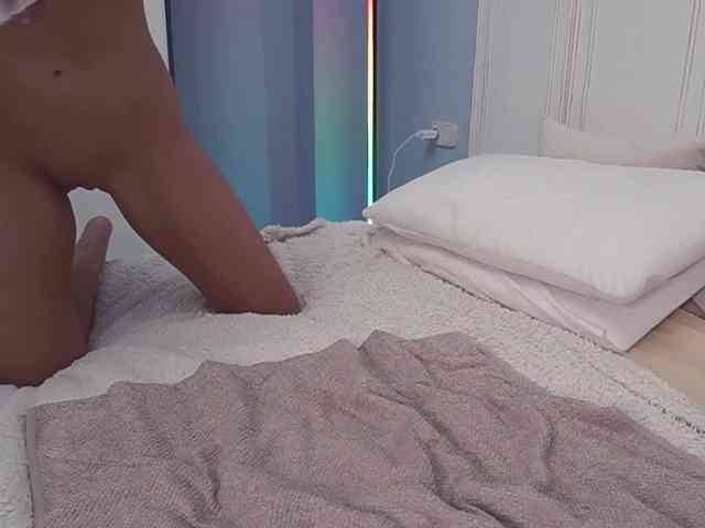 new1dee webcam
