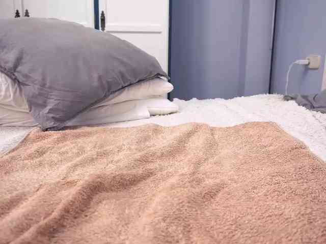 new1dee webcam