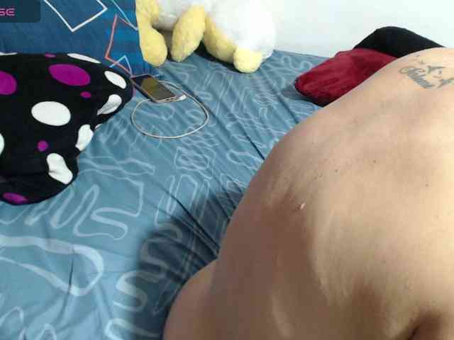 paloma12 webcam