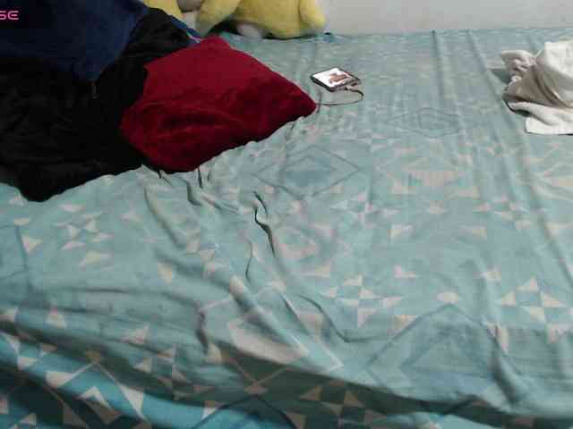paloma12 webcam