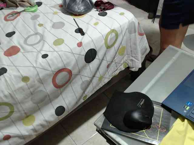 paloma12 webcam