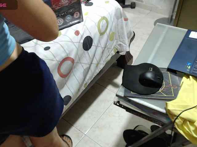 paloma12 webcam