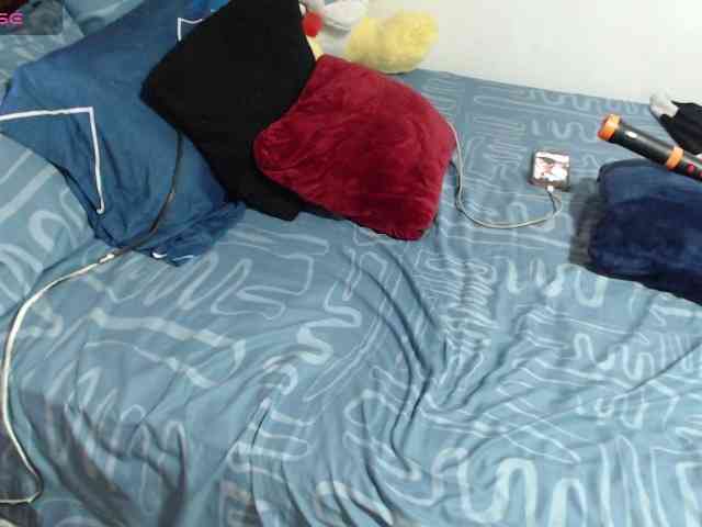 paloma12 webcam