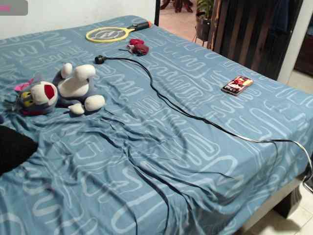 paloma12 webcam