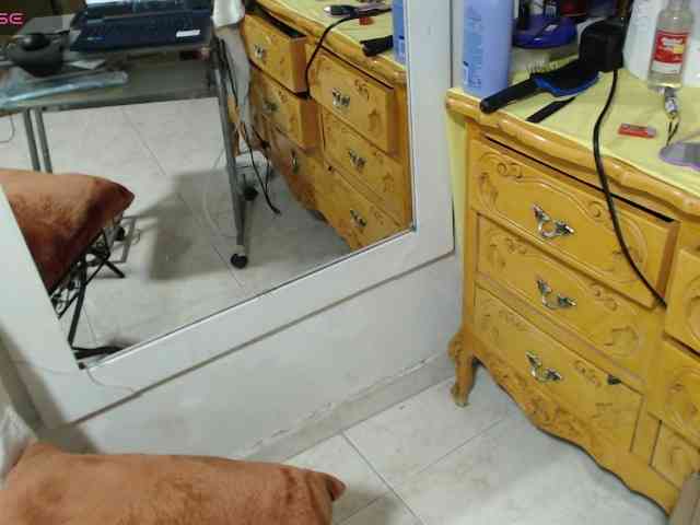 paloma12 webcam