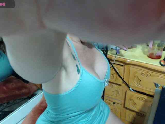 paloma12 webcam