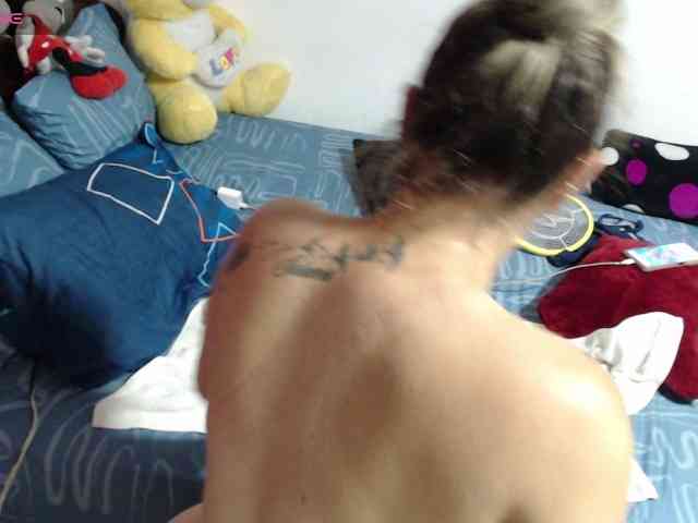 paloma12 webcam