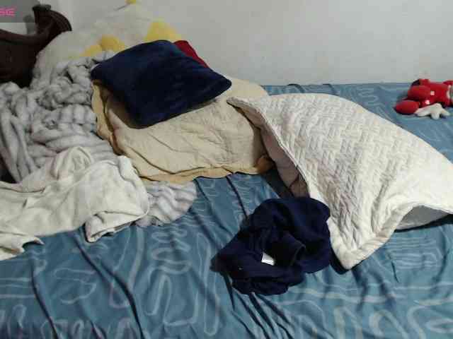 paloma12 webcam