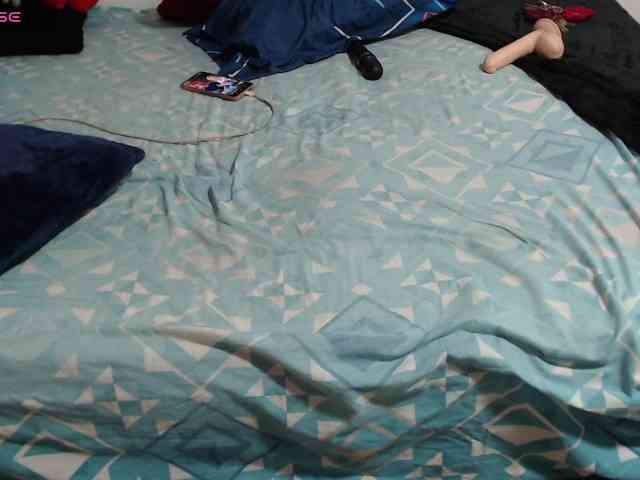 paloma12 webcam