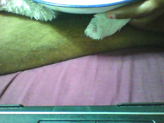 seths live cam on BongaCams