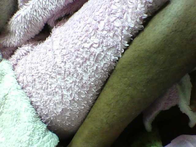 seths