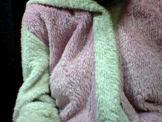 seths live cam on BongaCams