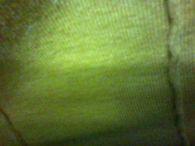 seths live cam on BongaCams