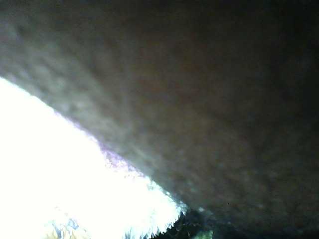 seths live cam on BongaCams