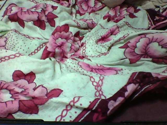 seths live cam on BongaCams