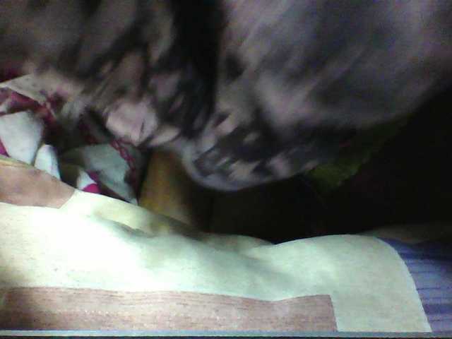 seths live cam on BongaCams