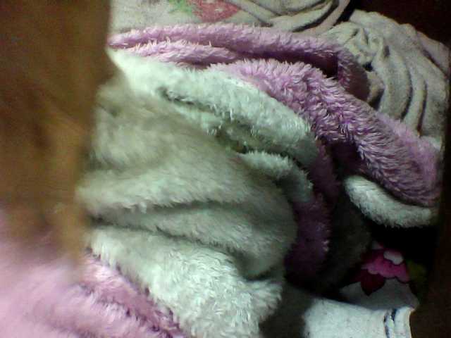 seths live cam on BongaCams