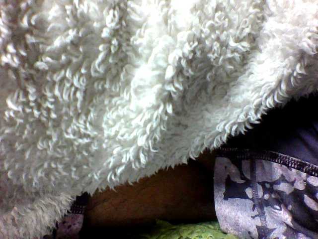 seths live cam on BongaCams