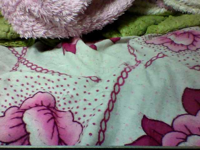 seths live cam on BongaCams