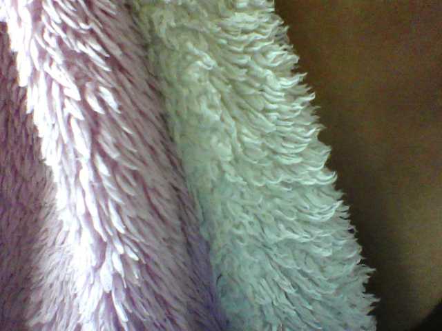 seths live cam on BongaCams