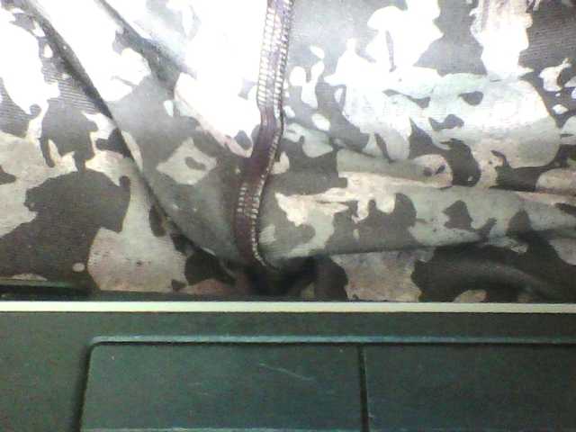 le modèle seths est en webcam porno dans un show sur le site bongacams, il possède les tags suivants: Ebony,Brunette,Shaved