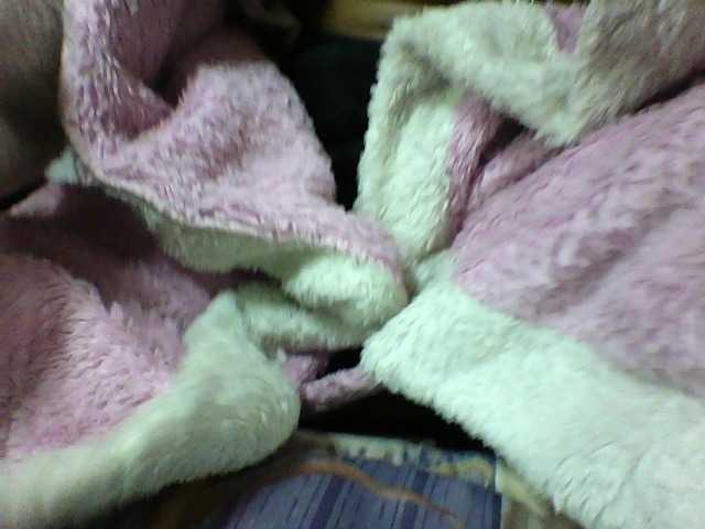 seths live webcam show
