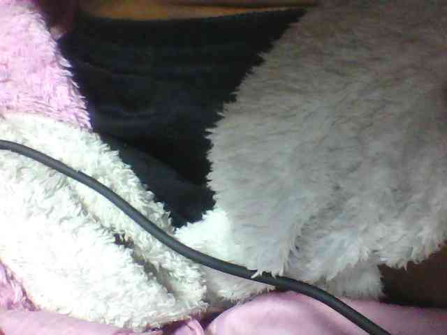 seths webcam