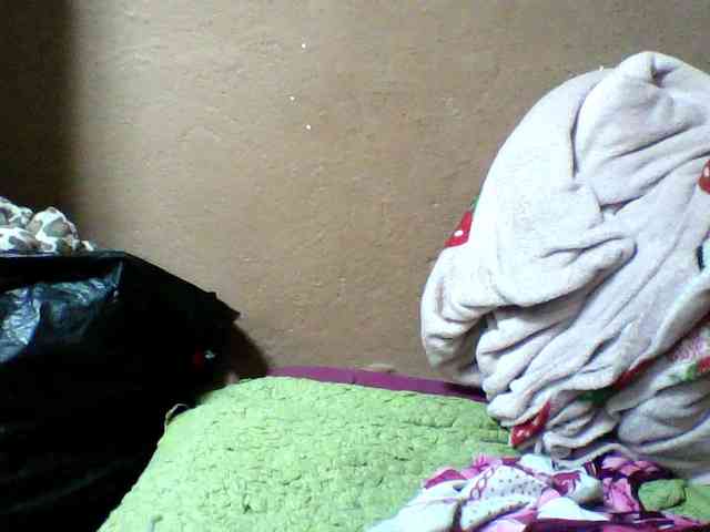 seths webcam