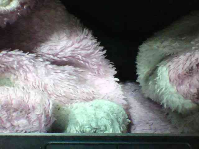seths webcam