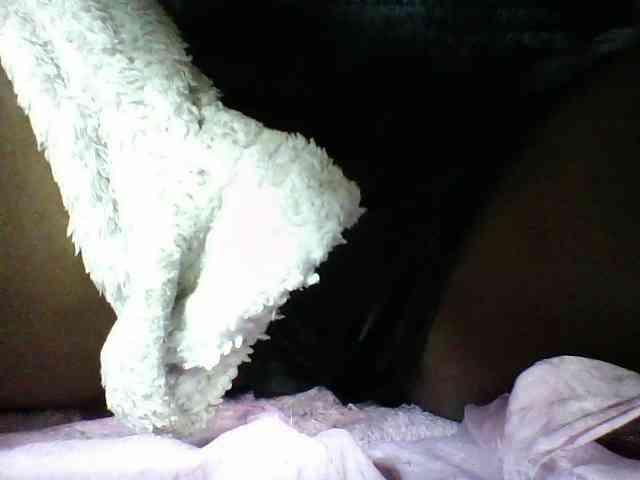 seths webcam