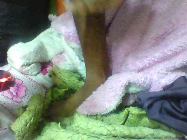 seths webcam