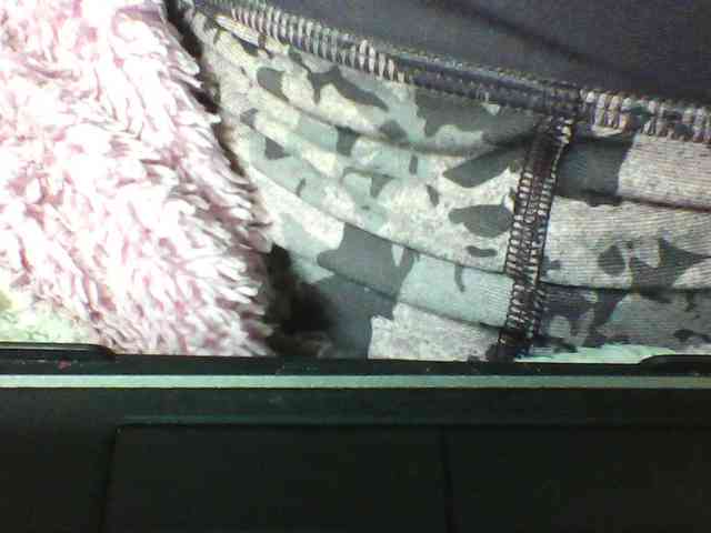 seths webcam