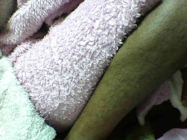 seths