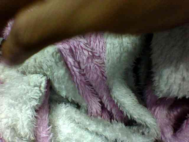 seths webcam