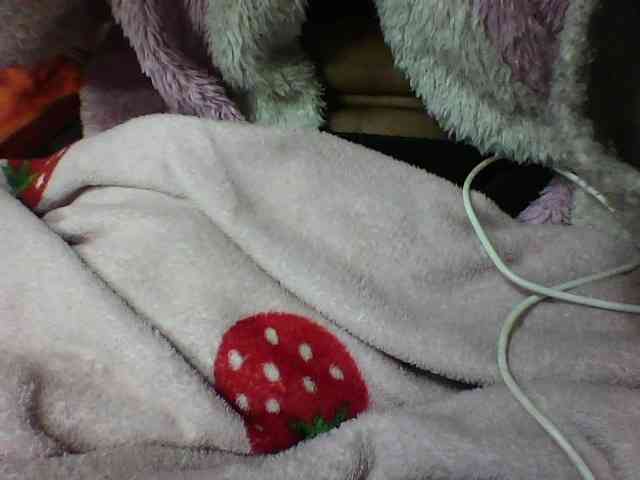 seths webcam